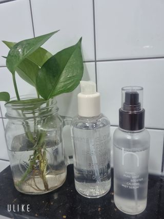 신현미님이 올린 리뷰 사진 3