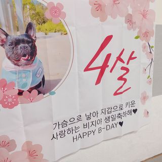콩비지맘님이 올린 리뷰 사진 2