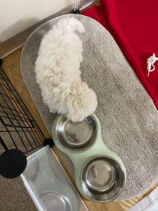 허당당당님이 올린 리뷰 사진 3