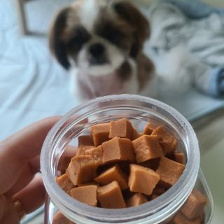 페페로니 진짜 오메가3 연어+소고기 180g+180g — 5점을 준 리뷰어가 2021년 7월 올린 사용 사진
