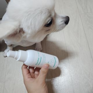 [댕모어 클리너 3종] 아이클리너 / 이어클리너 / 덴탈클리너 3종 세트 (120ml) — 5점을 준 리뷰어가 2023년 9월 올린 사용 사진