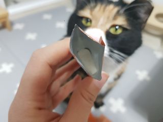 웰리카 다이어트 프로바이오틱스 — 5점을 준 리뷰어가 2021년 1월 올린 사용 사진