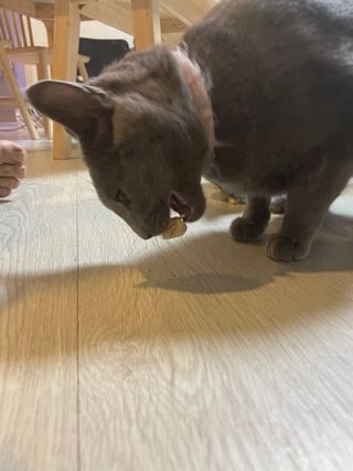 여온님이 올린 리뷰 사진 4