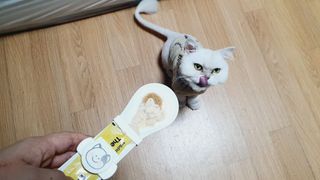ㅎㅎ쩡님이 올린 리뷰 사진 3
