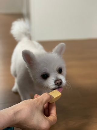 규규님이 올린 리뷰 사진 2