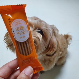 아코맘님이 올린 리뷰 사진 3