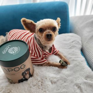 영이님이 올린 리뷰 사진 3