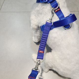 삼숑이맘님이 올린 리뷰 사진 4