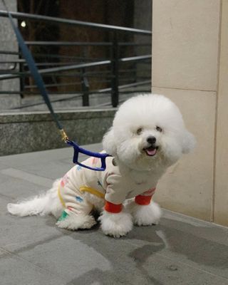 윤긍정님이 올린 리뷰 사진 2