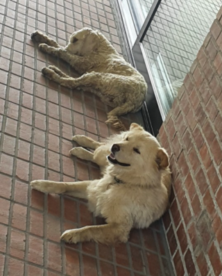 유재현님이 올린 리뷰 사진 2