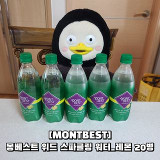 몽베스트 Montbest with Sparkling water Lemon OR Lime 20병(랜덤) — 5점을 준 리뷰어가 2022년 8월 올린 사용 사진