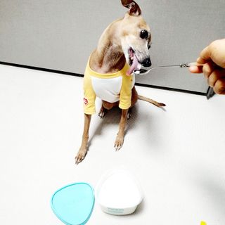 saiio님이 올린 리뷰 사진 2