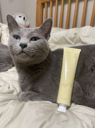 여온님이 올린 리뷰 사진 2
