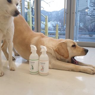 리아님이 올린 리뷰 사진 3