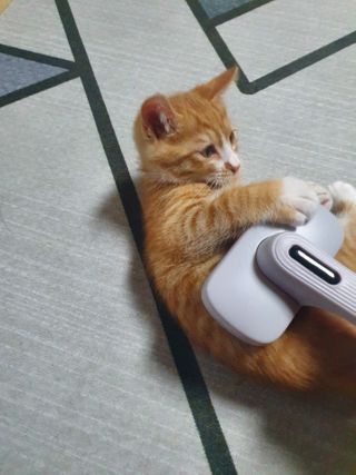 나이스님이 올린 리뷰 사진 2
