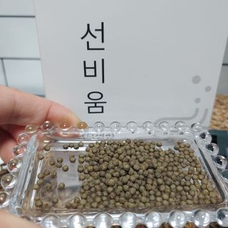 [뉴트릴렉스] 선비움 첨가물 없는 착한 차전자피 식이섬유  2박스 — 5점을 준 리뷰어가 2021년 7월 올린 사용 사진