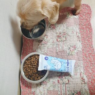 뚠뚠뚠님이 올린 리뷰 사진 2