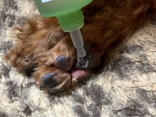 블루민님이 올린 리뷰 사진 1