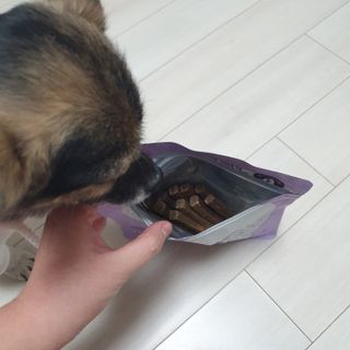 항항항님이 올린 리뷰 사진 2