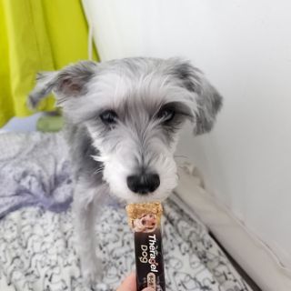 알숭님이 올린 리뷰 사진 1
