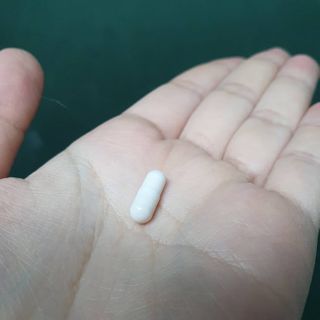 메이준뉴트리 메이준쎌 편안해질 여성유산균 — 5점을 준 리뷰어가 2021년 2월 올린 사용 사진