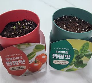 kikiday님이 올린 리뷰 사진 1