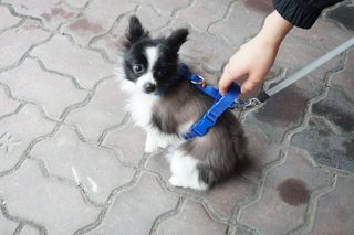 롤리팝님이 올린 리뷰 사진 2