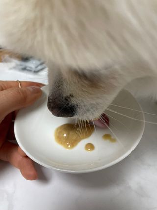 이예령님이 올린 리뷰 사진 4