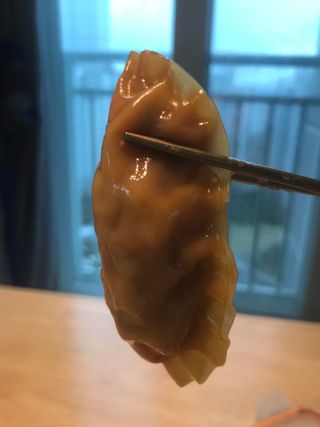 한만두 진한 해물맛 짬뽕만두 1kg — 5점을 준 리뷰어가 2021년 4월 올린 사용 사진