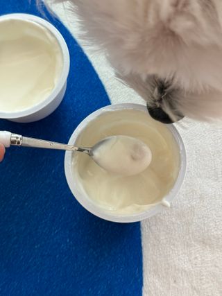 벨라님이 올린 리뷰 사진 3