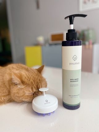 유메이 웰니스 샴푸 + 유메이 스칼프 브러쉬 — 4점을 준 리뷰어가 2022년 2월 올린 사용 사진
