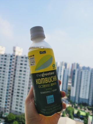 더그레잇티 콤부차 [매일유업] 더그레잇티 44kcal 콤부차 300ml *12개입 (오리지널 6개+베리리치 6개) — 3점을 준 리뷰어가 2023년 8월 올린 사용 사진