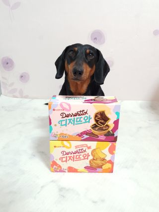 히이잇님이 올린 리뷰 사진 1