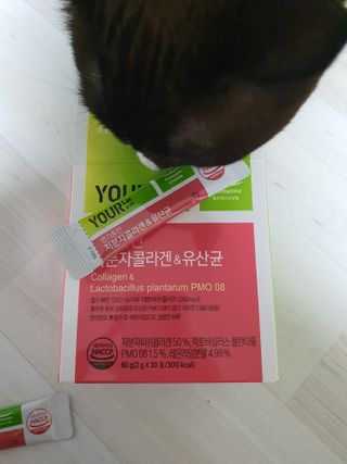 쮸동비님이 올린 리뷰 사진 2