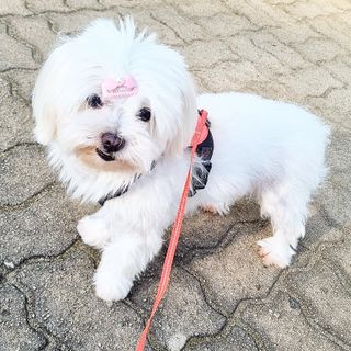banew님이 올린 리뷰 사진 3