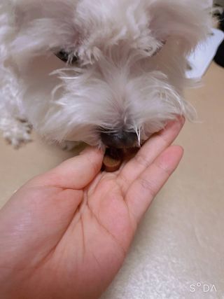 슝늉님이 올린 리뷰 사진 4