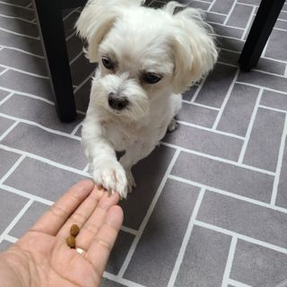 쮸디님이 올린 리뷰 사진 1