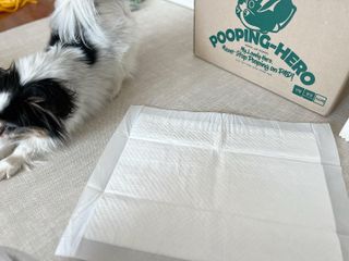 HaejinSeung님이 올린 리뷰 사진 2