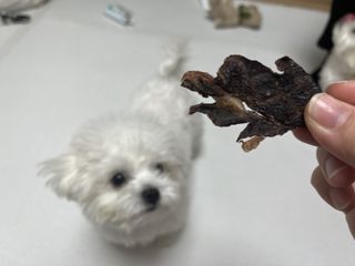린짱님이 올린 리뷰 사진 3