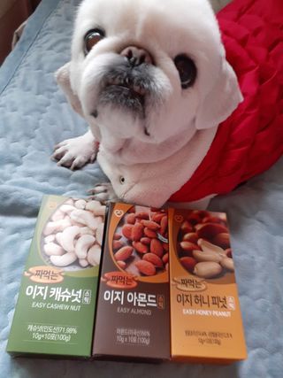 짜먹는 이지견과 짜먹는 이지아몬드, 짜먹는 이지허니피넛, 짜먹는 이지캐슈넛 각 10g X  10포 — 5점을 준 리뷰어가 2021년 2월 올린 사용 사진