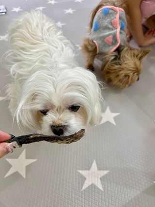 똥지님이 올린 리뷰 사진 2