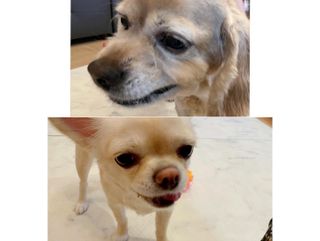 꺼꾸리님이 올린 리뷰 사진 2