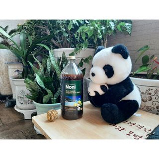 광동생활건강 [광동] 100 리얼 하와이 유기농 노니주스 946ml — 5점을 준 리뷰어가 2021년 12월 올린 사용 사진