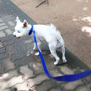 쪼초맘님이 올린 리뷰 사진 3