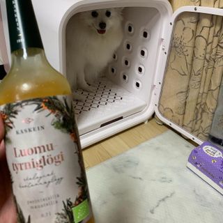 H365 [Kaskein Luomutyrniglögi] 핀란드 전통 무알콜 멀드와인 시벅톤 글로기 — 5점을 준 리뷰어가 2021년 5월 올린 사용 사진