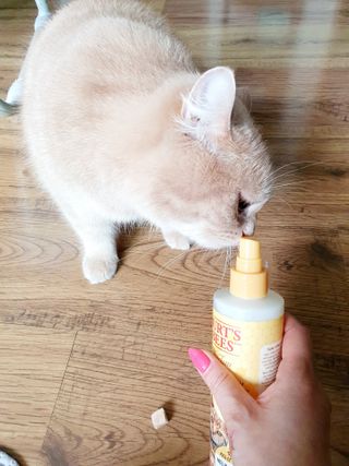 슐쟁이😄님이 올린 리뷰 사진 4