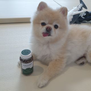 bangwoori님이 올린 리뷰 사진 2