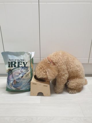 차세라님이 올린 리뷰 사진 2
