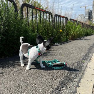 HaejinSeung님이 올린 리뷰 사진 3