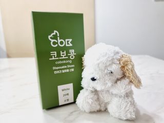 코보콩 에어슈즈 강아지 일회용 신발 소용량 패키지 20매 초경량  미끄럼방지 실내외 겸용 — 5점을 준 리뷰어가 2022년 2월 올린 사용 사진